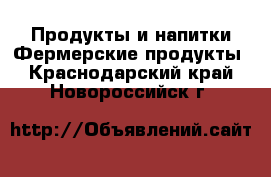 Продукты и напитки Фермерские продукты. Краснодарский край,Новороссийск г.